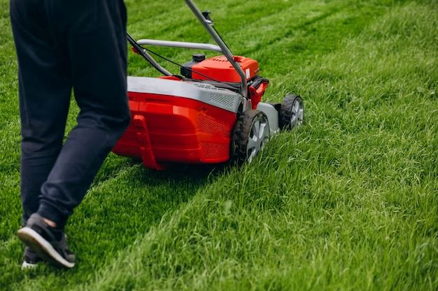 Grüner Traum: Die ultimative Anleitung zur Rasenpflege im Frühjahr