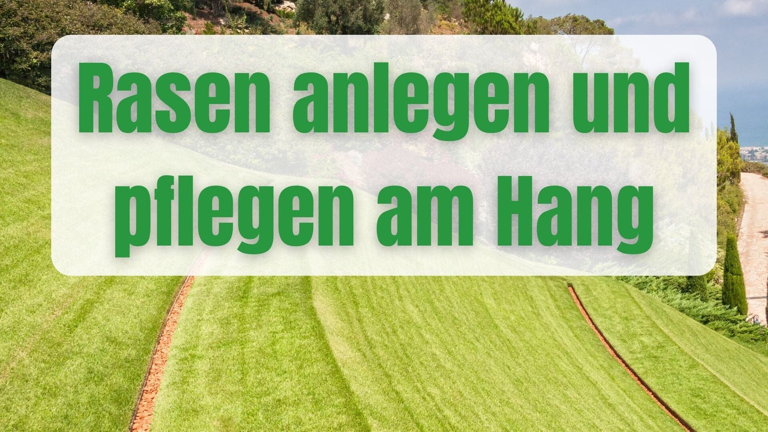 Laying and maintaining a lawn on a slope