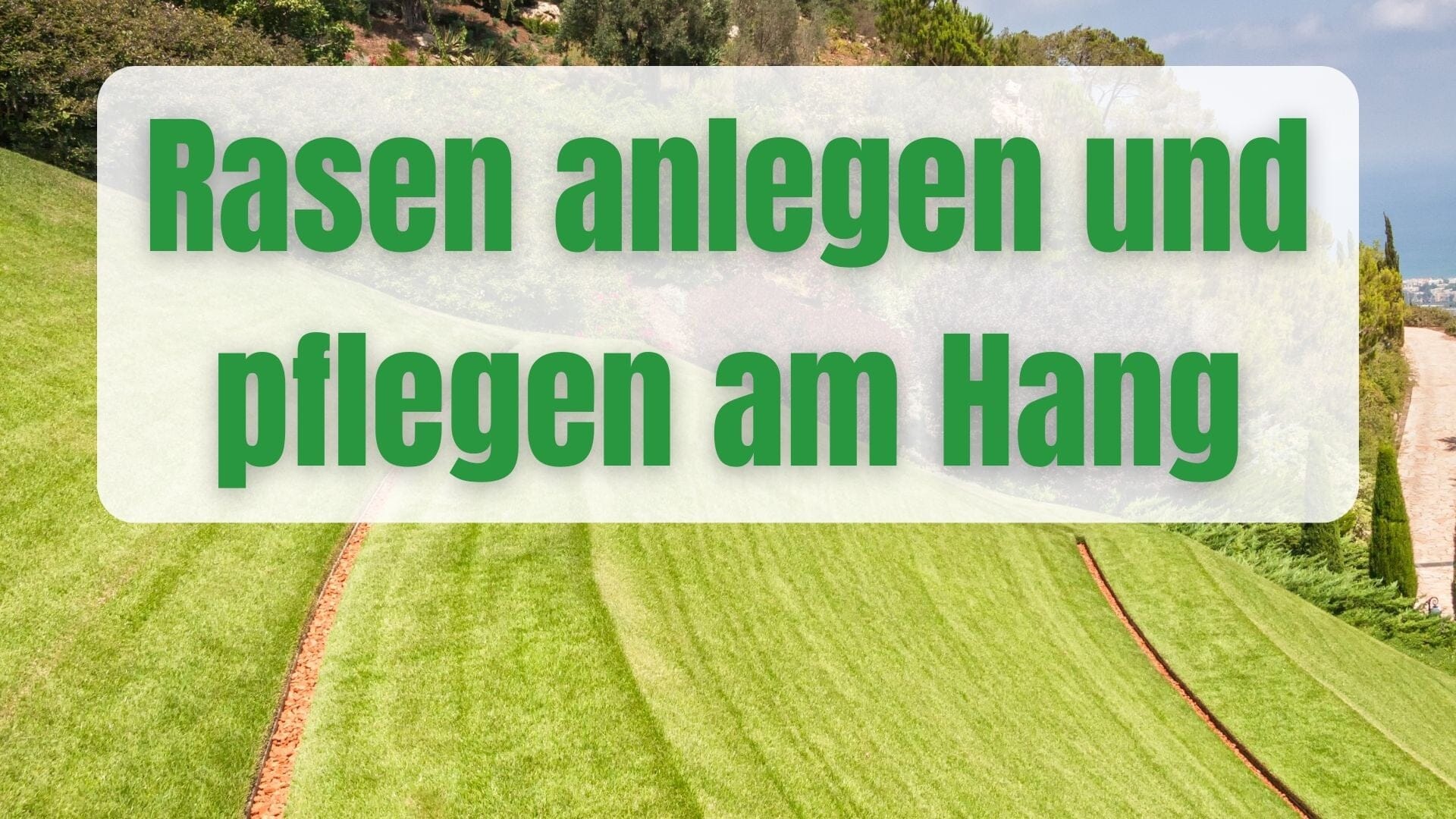 Rasen anlegen und pflegen in Hanglage