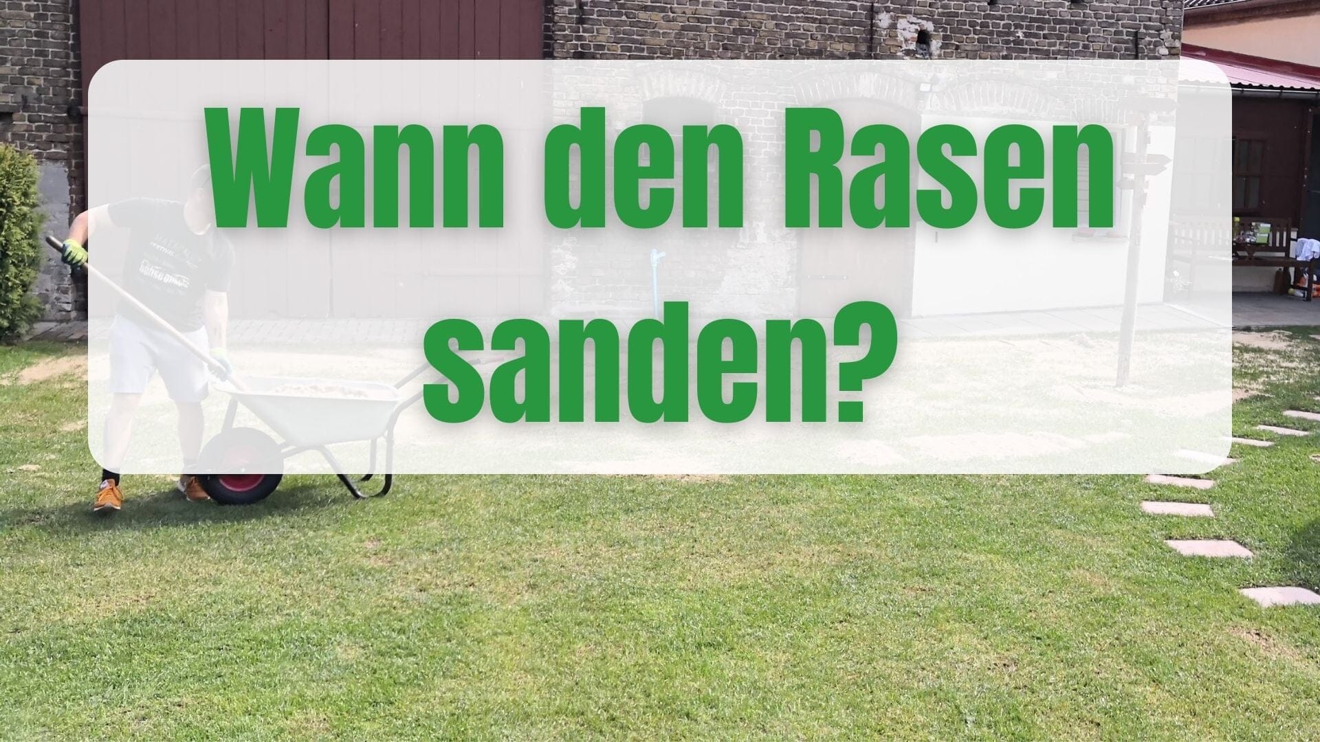 Wann sollte ich den Rasen sanden?