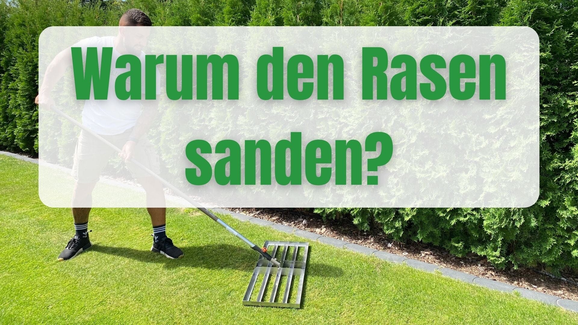 Warum sollte ich den Rasen sanden?