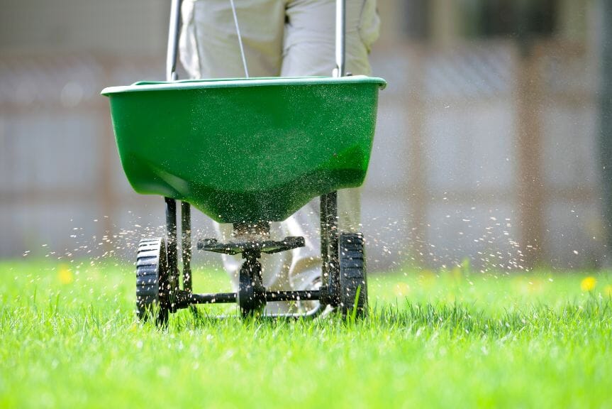 Piani di fertilizzazione