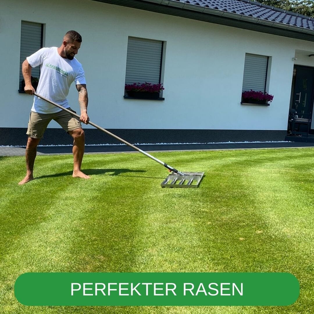 RISISANI Premium Rasenrakel L-80 en acier inoxydable Rasenrakel RISISANI Rasenrakel Allemagne