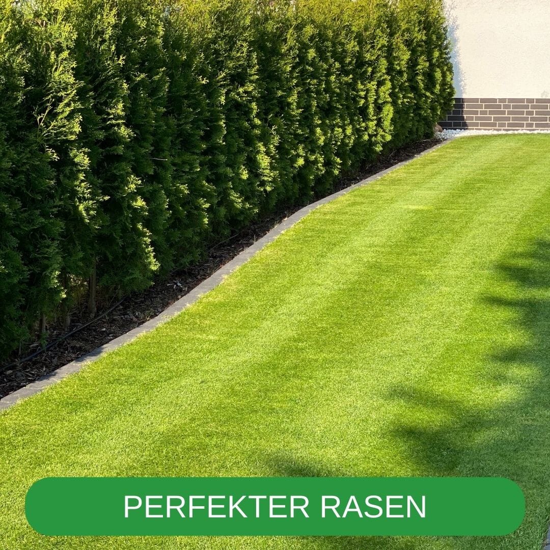 RISISANI Premium Rasenrakel XXL-160 in Edelstahl Rasenrakel RISISANI Rasenrakel Deutschland